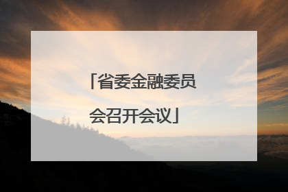 省委金融委员会召开会议