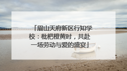 眉山天府新区行知学校：枇杷橙黄时，共赴一场劳动与爱的盛宴