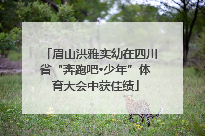 眉山洪雅实幼在四川省“奔跑吧•少年”体育大会中获佳绩