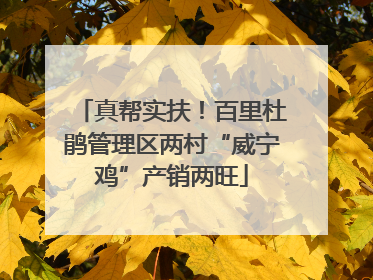 真帮实扶！百里杜鹃管理区两村“威宁鸡”产销两旺