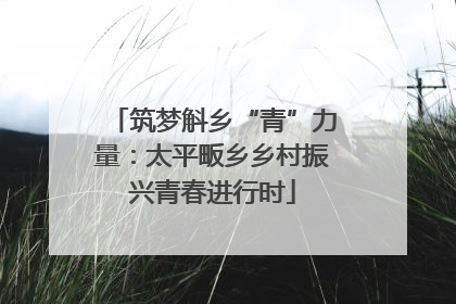 筑梦斛乡“青”力量：太平畈乡乡村振兴青春进行时