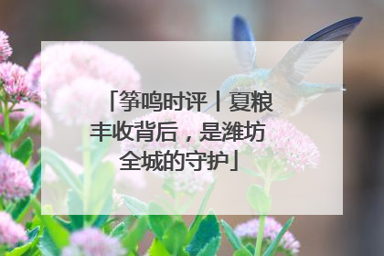筝鸣时评丨夏粮丰收背后，是潍坊全城的守护