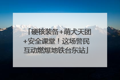 硬核装备+萌犬天团+安全课堂！这场警民互动燃爆地铁台东站