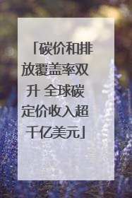 碳价和排放覆盖率双升 全球碳定价收入超千亿美元
