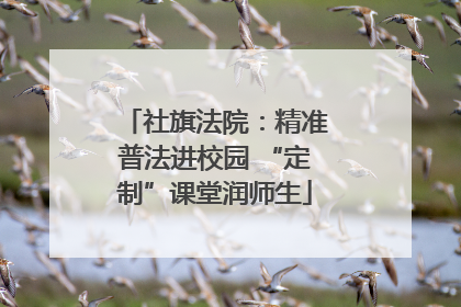 社旗法院：精准普法进校园 “定制”课堂润师生