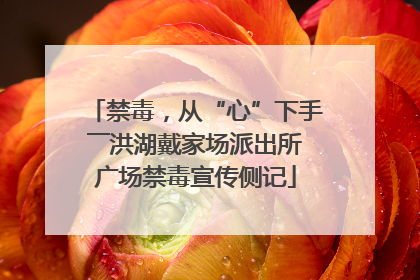 禁毒，从“心”下手――洪湖戴家场派出所广场禁毒宣传侧记