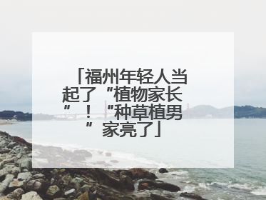 福州年轻人当起了“植物家长”！“种草植男”家亮了