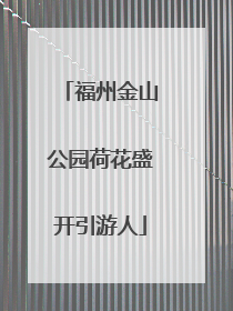 福州金山公园荷花盛开引游人