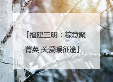 福建三明：粽意聚菁英 关爱暖征途