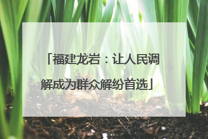福建龙岩：让人民调解成为群众解纷首选