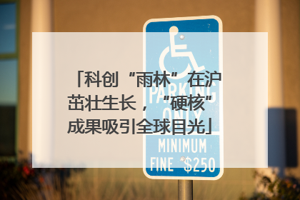科创“雨林”在沪茁壮生长，“硬核”成果吸引全球目光