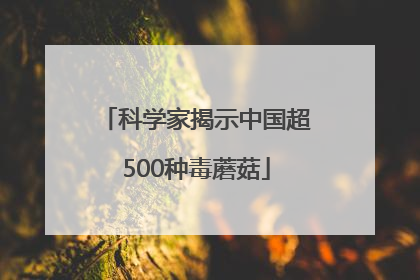 科学家揭示中国超500种毒蘑菇