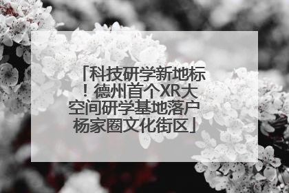 科技研学新地标！德州首个XR大空间研学基地落户杨家圈文化街区
