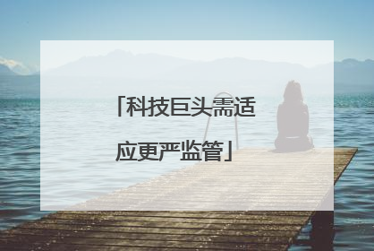 科技巨头需适应更严监管