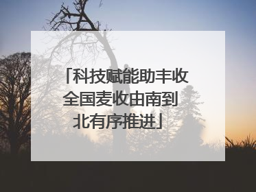 科技赋能助丰收 全国麦收由南到北有序推进