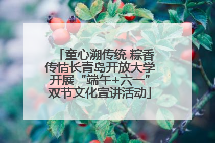 童心溯传统 粽香传情长青岛开放大学开展“端午+六一”双节文化宣讲活动
