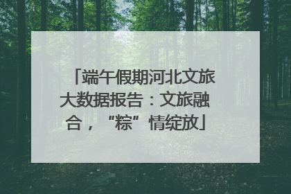 端午假期河北文旅大数据报告：文旅融合，“粽”情绽放