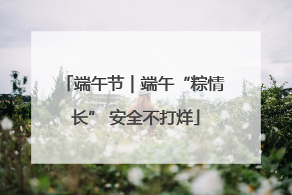 端午节｜端午“粽情长” 安全不打烊
