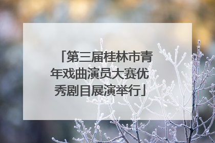 第三届桂林市青年戏曲演员大赛优秀剧目展演举行