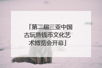 第二届三亚中国古玩暨钱币文化艺术博览会开幕