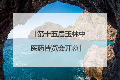 第十五届玉林中医药博览会开幕