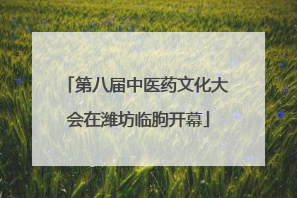 第八届中医药文化大会在潍坊临朐开幕