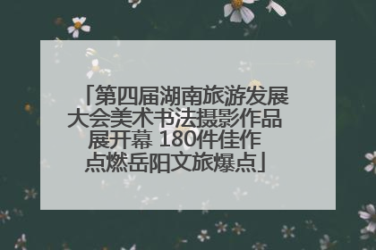 第四届湖南旅游发展大会美术书法摄影作品展开幕 180件佳作点燃岳阳文旅爆点