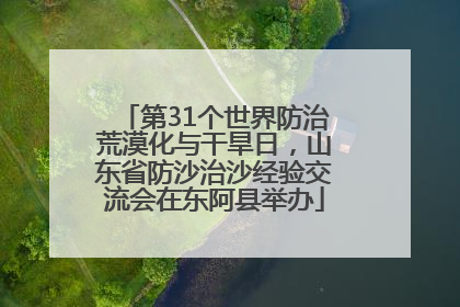 第31个世界防治荒漠化与干旱日，山东省防沙治沙经验交流会在东阿县举办