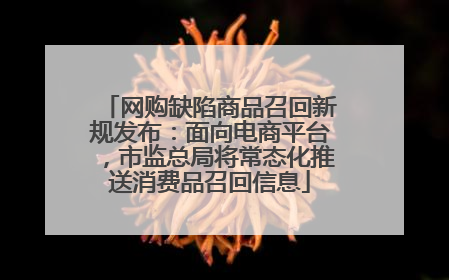 网购缺陷商品召回新规发布：面向电商平台，市监总局将常态化推送消费品召回信息