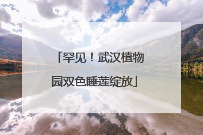 罕见！武汉植物园双色睡莲绽放
