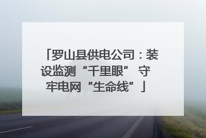 罗山县供电公司：装设监测“千里眼” 守牢电网“生命线”