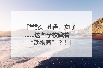 羊驼、孔雀、兔子……这些学校藏着 “动物园”？！