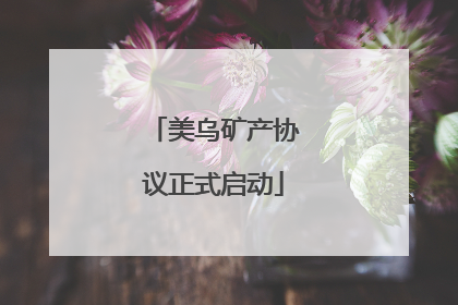 美乌矿产协议正式启动