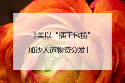 美以“插手包揽”加沙人道物资分发