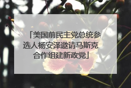 美国前民主党总统参选人杨安泽邀请马斯克合作组建新政党