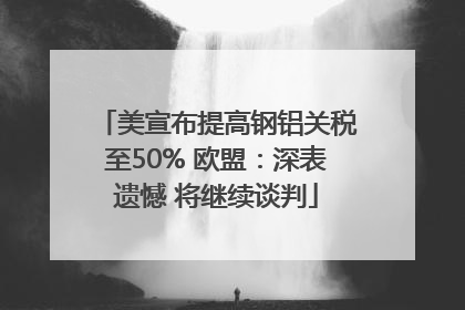 美宣布提高钢铝关税至50% 欧盟：深表遗憾 将继续谈判