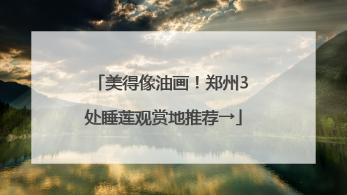 美得像油画！郑州3处睡莲观赏地推荐→
