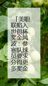 美职联陷入世俱杯奖金风波：参赛队球员要求分得更多奖金，抵制联盟的“剥削”