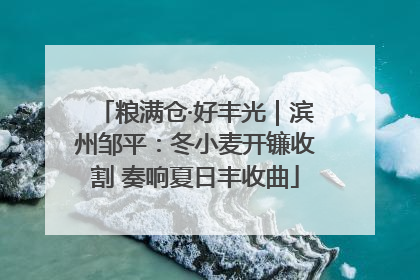 粮满仓·好丰光｜滨州邹平：冬小麦开镰收割 奏响夏日丰收曲