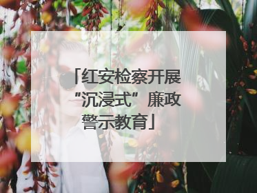 红安检察开展“沉浸式”廉政警示教育