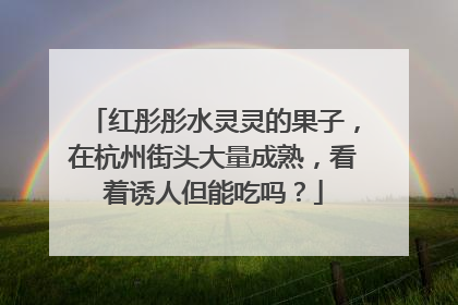 红彤彤水灵灵的果子，在杭州街头大量成熟，看着诱人但能吃吗？