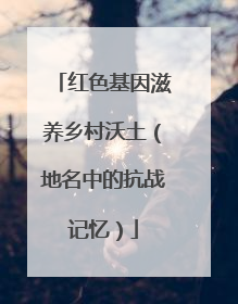 红色基因滋养乡村沃土（地名中的抗战记忆）