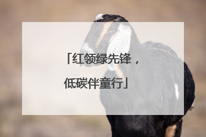红领绿先锋，低碳伴童行