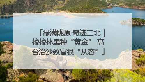 绿满陇原·奇迹三北｜梭梭林里种“黄金” 高台治沙致富很“从容”