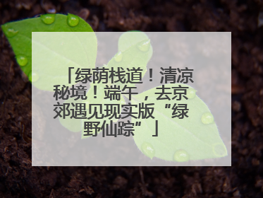 绿荫栈道！清凉秘境！端午，去京郊遇见现实版“绿野仙踪”