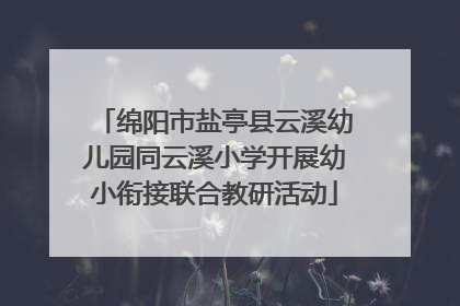 绵阳市盐亭县云溪幼儿园同云溪小学开展幼小衔接联合教研活动