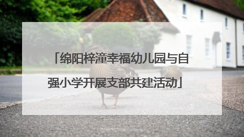 绵阳梓潼幸福幼儿园与自强小学开展支部共建活动