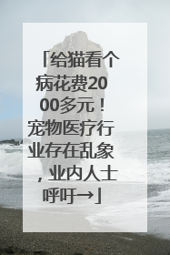 给猫看个病花费2000多元！宠物医疗行业存在乱象，业内人士呼吁→