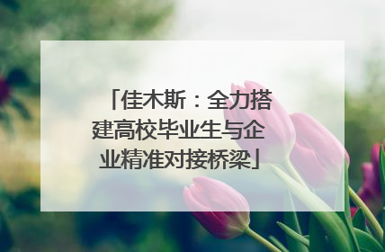 佳木斯：全力搭建高校毕业生与企业精准对接桥梁