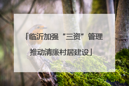 临沂加强“三资”管理 推动清廉村居建设